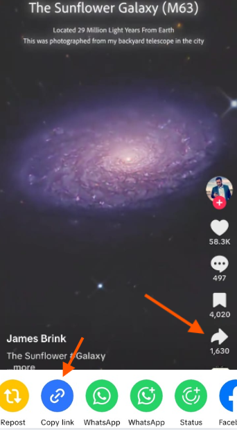 Copy TikTok Link